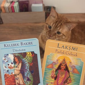 May include: Two rectangular oracle cards with illustrations and Turkish text. The left card is light blue with the text Kelebek Bakire D&ouml;n&uuml;ş&uuml;m and an illustration of a figure with butterfly wings. The right card is yellow with the text Lakşmi Parlak Gelecek.