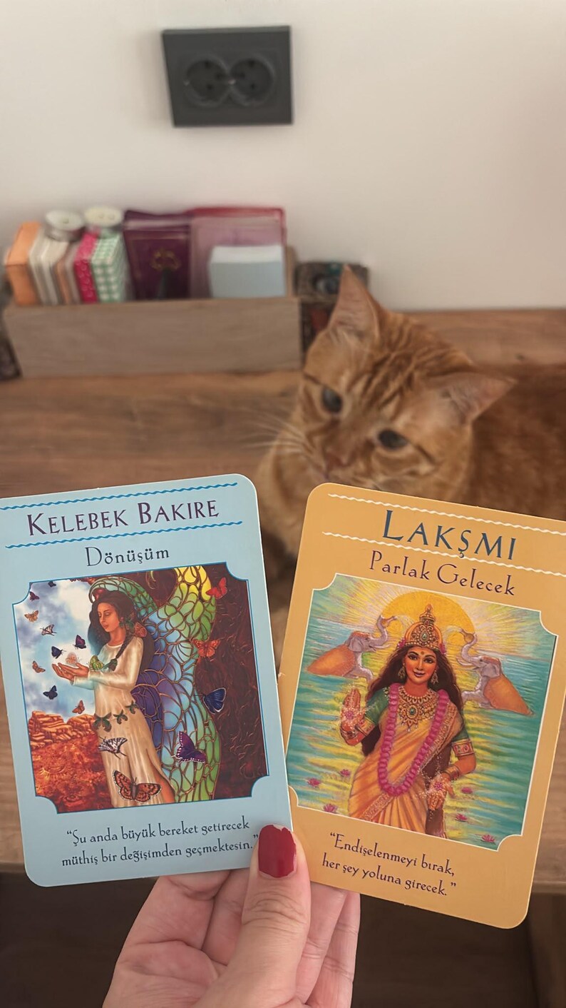 May include: Two rectangular oracle cards with illustrations and Turkish text. The left card is light blue with the text Kelebek Bakire D&ouml;n&uuml;ş&uuml;m and an illustration of a figure with butterfly wings. The right card is yellow with the text Lakşmi Parlak Gelecek.