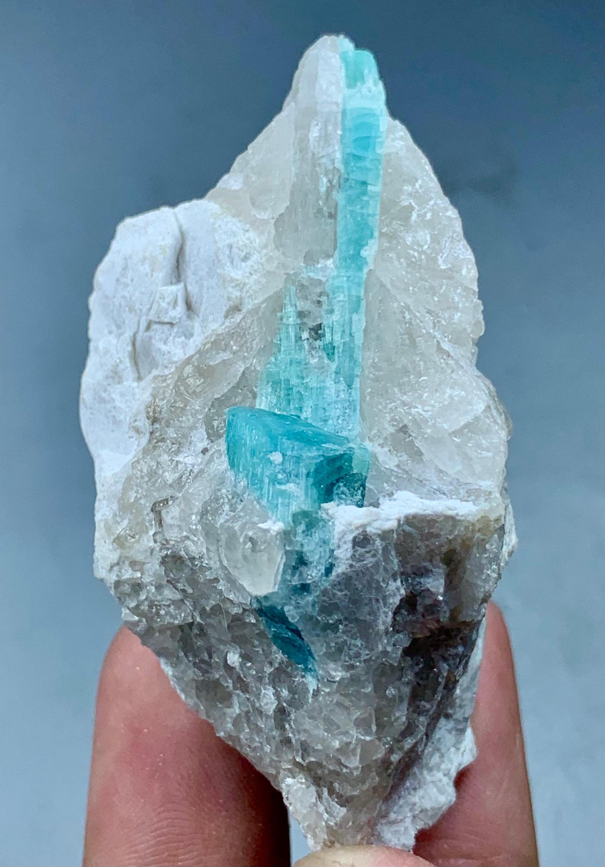 インディコライトトルマリン結晶（マトリックス上）、アフガニスタン産