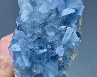 May include: A cluster of light blue celestine crystals. The crystals have a sharp, angular structure and are tightly packed together. The base of the mineral is a light brown color. The overall appearance is crystalline and geological.