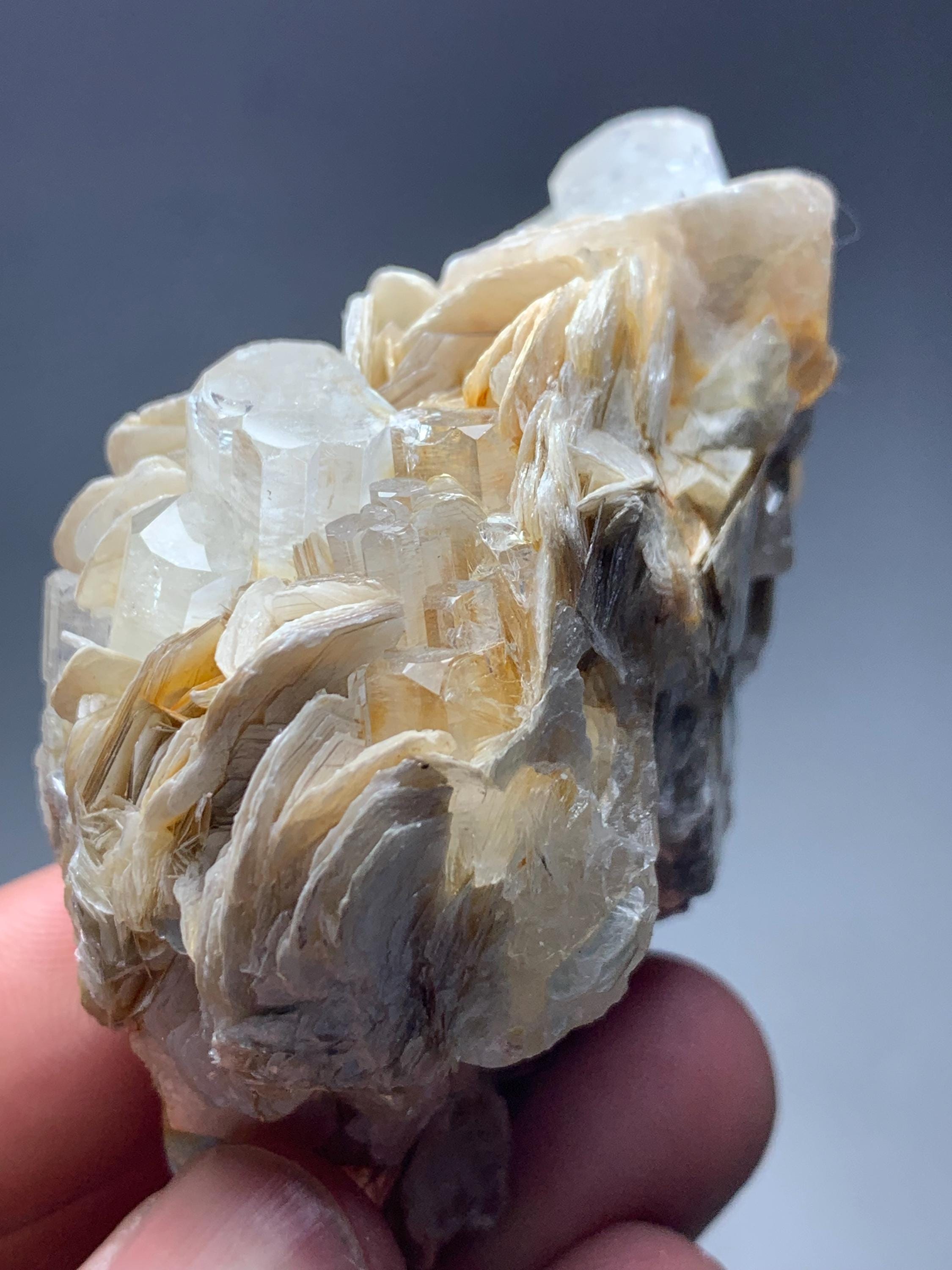 アクアマリン結晶標本：パキスタン産65g鉱物コレクション - Etsy 日本