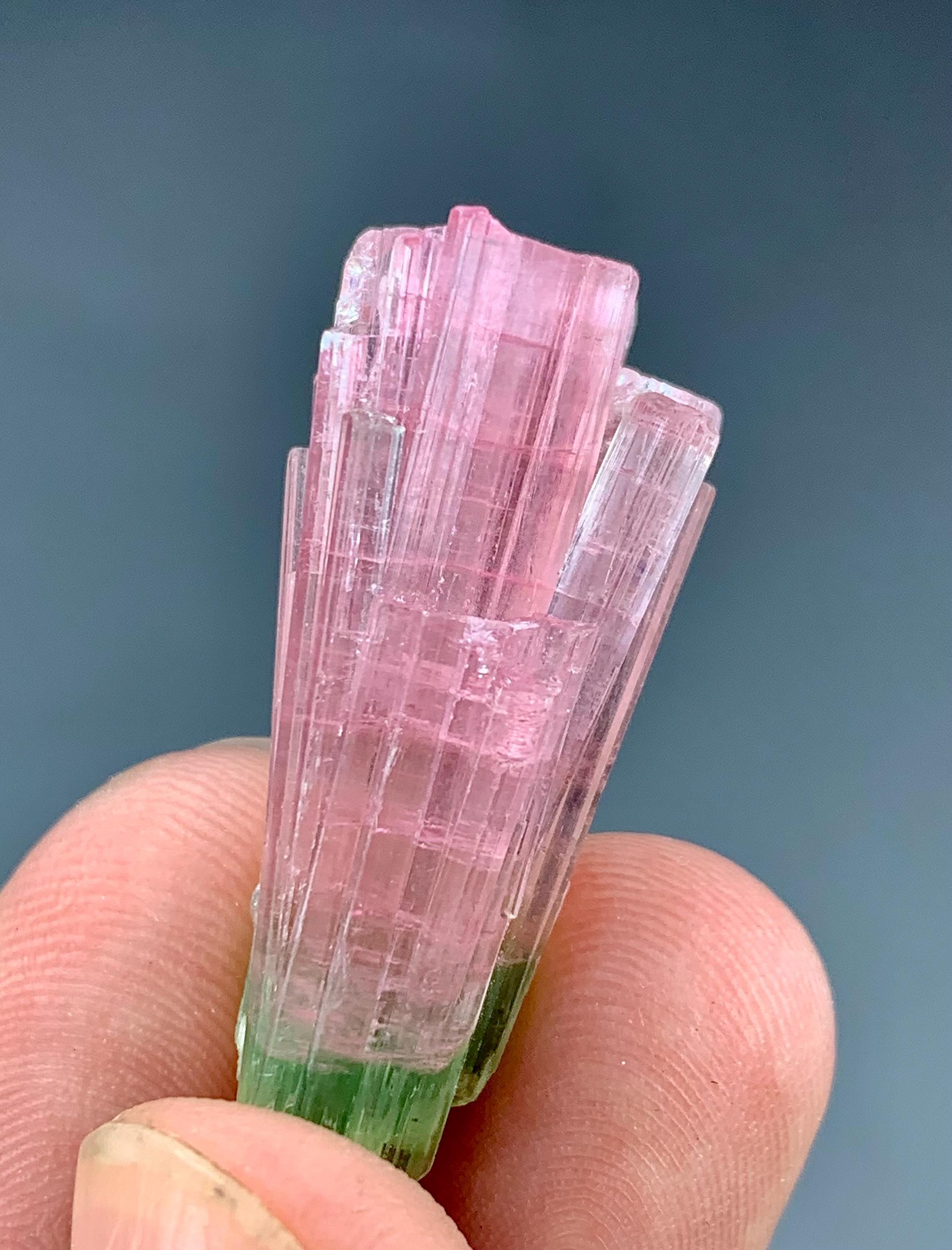 Pierre Précieuse Naturelle - Tourmaline Bicolore 13,35 Carats (Rare)