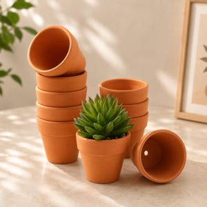16 Terra Cotta Pots with Drainage Holes Mini Succulent Planters