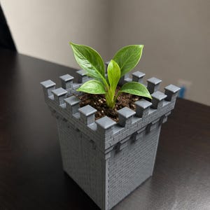 Castle Tower Planter Pot, 3D Printed Medieval Plant Pot, Unique Succulent Planter, Gothic Desk Decor, Fantasy Plant Gift