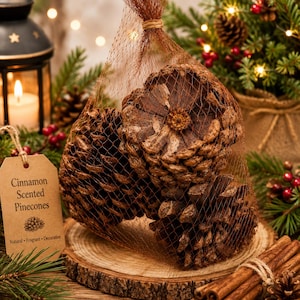 Cinnamon Scented Pinecones, Natural Pine Cone Bag, Holiday Potpourri, Christmas Home Decor, Fall Decor, Vase Filler, Rustic Centerpiece