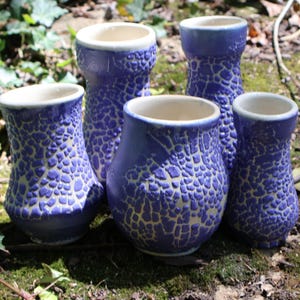 One of a Kind Crawl Vase