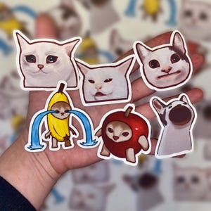 Meme Katzen Vinyl Aufkleber