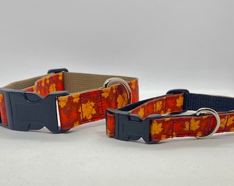 Fall Leaves Collars/Leashes