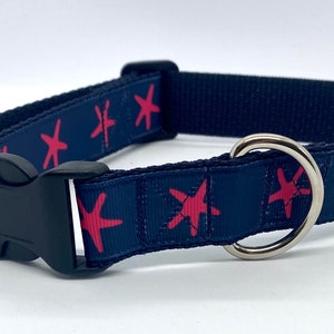 Starfish Dog Collar
