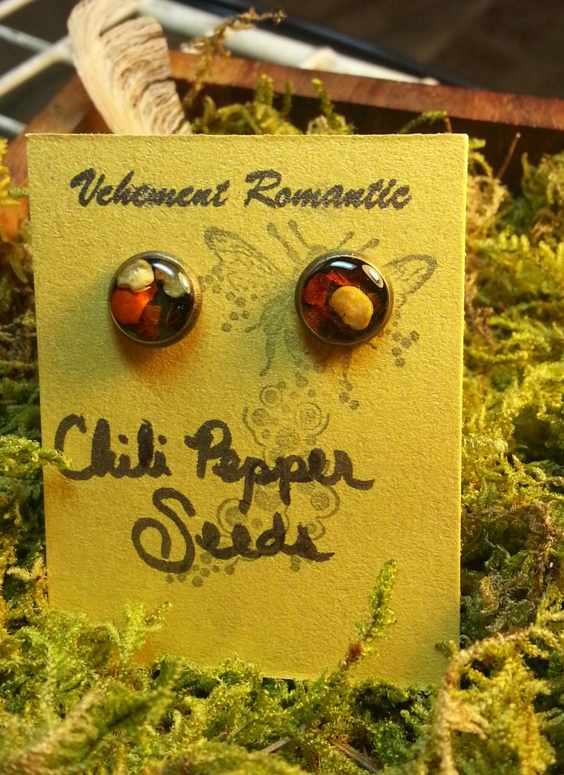 Spicy Studs Chili Pepper Seed Earrings Etsy