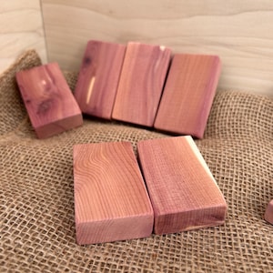 May include: Several rectangular cedar wood blocks in varying positions. The blocks are a reddish-brown color with visible wood grain. Some blocks are stacked, while others are scattered on a burlap surface.