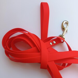 Op de afbeelding: Een felrode hondenriem met een bijpassende handgreep en een zilverkleurige metalen sluiting. De riem is gemaakt van een flexibel, duurzaam materiaal. De riem wordt getoond tegen een witte achtergrond.