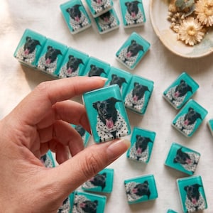 May include: A collection of rectangular tiles featuring a printed image of a black dog wearing a white and black polka dot scarf against a bright teal background. Each tile has a smooth, glossy finish and rounded edges, showcasing the same canine portrait.