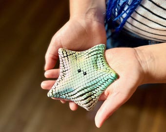 3D Gedruckter Seestern Fidget Spielzeug - Hyper Flexibles Multicolor Filament