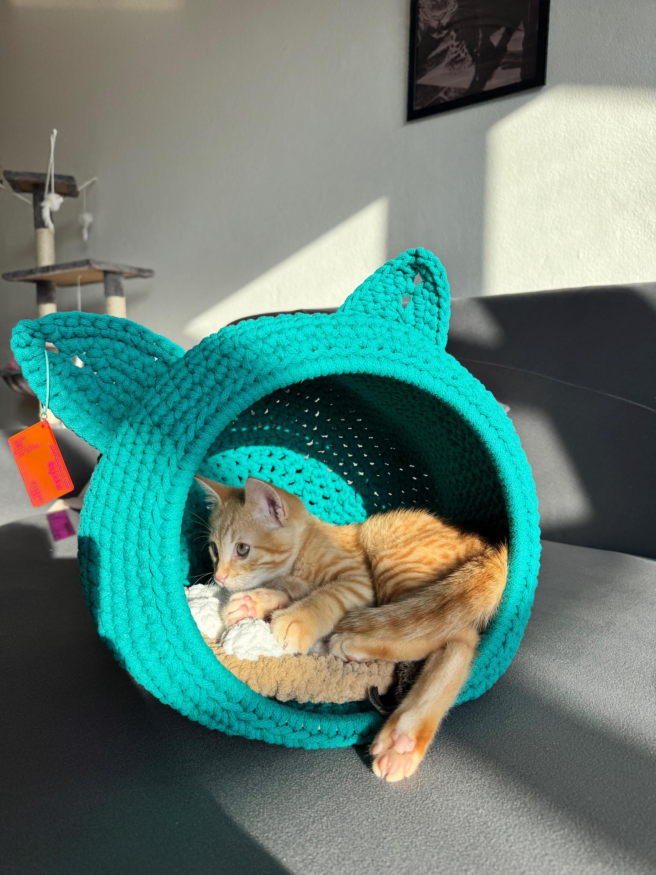 Kitten Cave Bed With Ears – Crochet Cat Pod House, Cozy Cat Tunnel Bed ...