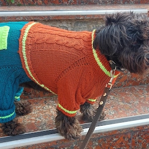 May include: A knitted dog sweater featuring a rust-orange cable knit torso with bright lime green trim at the collar, cuffs, and hem. The rear section is teal blue with a lime green pocket detail, mimicking the appearance of pants with cuffs.