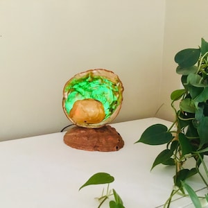 Vintage Abalone Shell Electric Pearl Shade Green Night light Lamp - Beach House Decor
