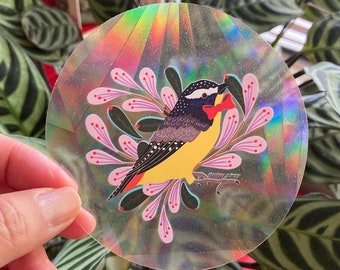 SUNCATCHER Spotted Pardalote | Catch the Rainbow, Rainbow Suncatcher, Suncatcher Sticker, Window Sticker, Rainbow Maker, Window Decals