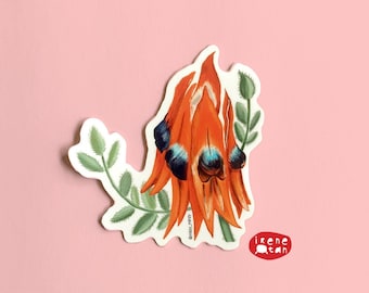 NEW Vinyl Sticker / Sturt's Desert Pea / Australian Native Flower / Art Decals / Gift Ideas / Decor