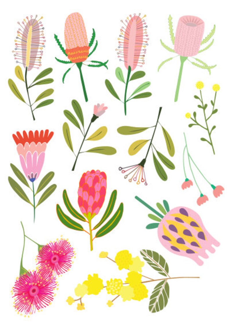 Reusable Fabric Wall Decals Australiana Flora Protea Etsy