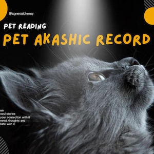 Pet reading| Pet Akashic Record Reading| | Pet soul communication|Deceased pet reading, saying goodbye to your beloved pet| pet loss