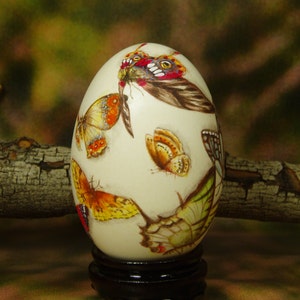 Beautiful Butterflies/ Hand Painted Butterflies/ Hand Painted Goose Egg Shell/ Hand Painted Egg Art/ Eggs Art image 5