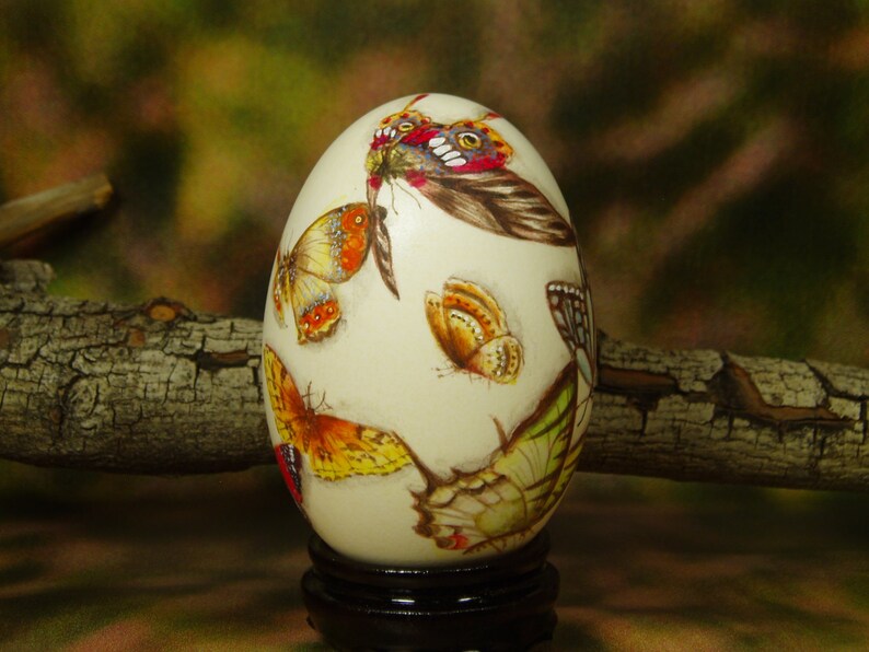 Beautiful Butterflies/ Hand Painted Butterflies/ Hand Painted Goose Egg