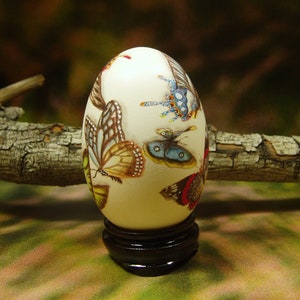 Beautiful Butterflies/ Hand Painted Butterflies/ Hand Painted Goose Egg Shell/ Hand Painted Egg Art/ Eggs Art image 3