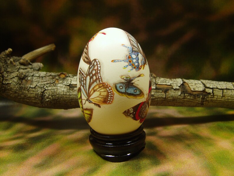 Beautiful Butterflies/ Hand Painted Butterflies/ Hand Painted Goose Egg Shell/ Hand Painted Egg Art/ Eggs Art image 3