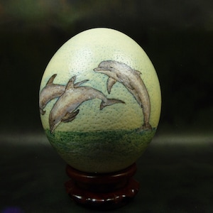 Hand Painted Dolphin Ostrich Egg Art