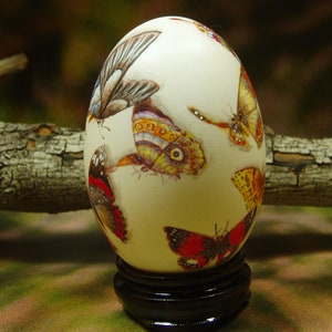 Beautiful Butterflies/ Hand Painted Butterflies/ Hand Painted Goose Egg Shell/ Hand Painted Egg Art/ Eggs Art image 7