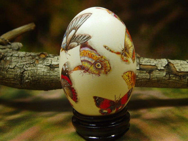 Beautiful Butterflies/ Hand Painted Butterflies/ Hand Painted Goose Egg Shell/ Hand Painted Egg Art/ Eggs Art image 7