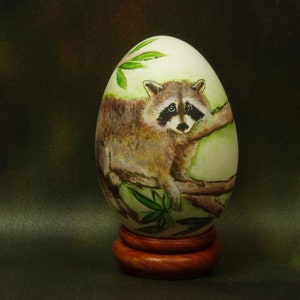Hand-Painted Raccoon Goose Egg Shell Art