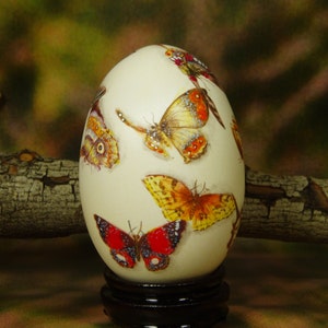 Beautiful Butterflies/ Hand Painted Butterflies/ Hand Painted Goose Egg Shell/ Hand Painted Egg Art/ Eggs Art image 4