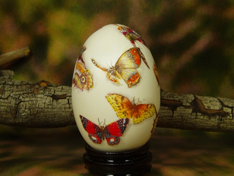 Beautiful Butterflies/ Hand Painted Butterflies/ Hand Painted Goose Egg Shell/ Hand Painted Egg Art/ Eggs Art image 4