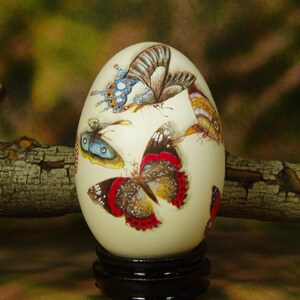 Beautiful Butterflies/ Hand Painted Butterflies/ Hand Painted Goose Egg Shell/ Hand Painted Egg Art/ Eggs Art image 8