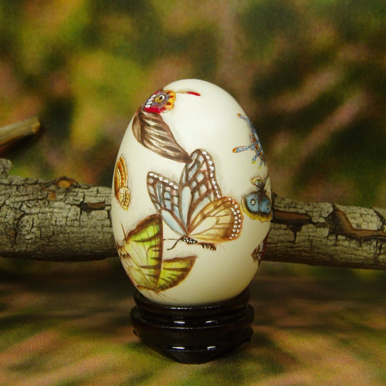 Beautiful Butterflies/ Hand Painted Butterflies/ Hand Painted Goose Egg Shell/ Hand Painted Egg Art/ Eggs Art image 2