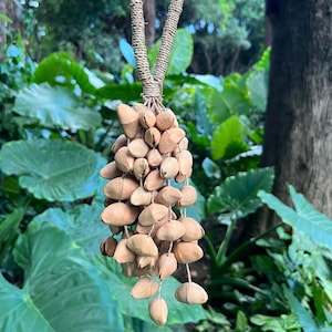 May include: A natural-toned, handcrafted hanging ornament. The top loop is made of woven, light brown material, connected to a cluster of light brown, seed-like objects. The ornament is suspended against a backdrop of lush green foliage.