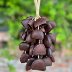 Natural Handmade Rattles,Sound Healing,Meditation,Zen,Nut Shell Shaker,Water Sound Shaker,fruit shell bell,Relaxation,Energy Instrument,gift