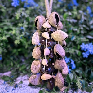 May include: A hanging decorative ornament made of natural materials. The ornament features a loop at the top and is strung with various seed pods and small, light-colored, shell-like objects. The colors are primarily brown, tan, and cream.