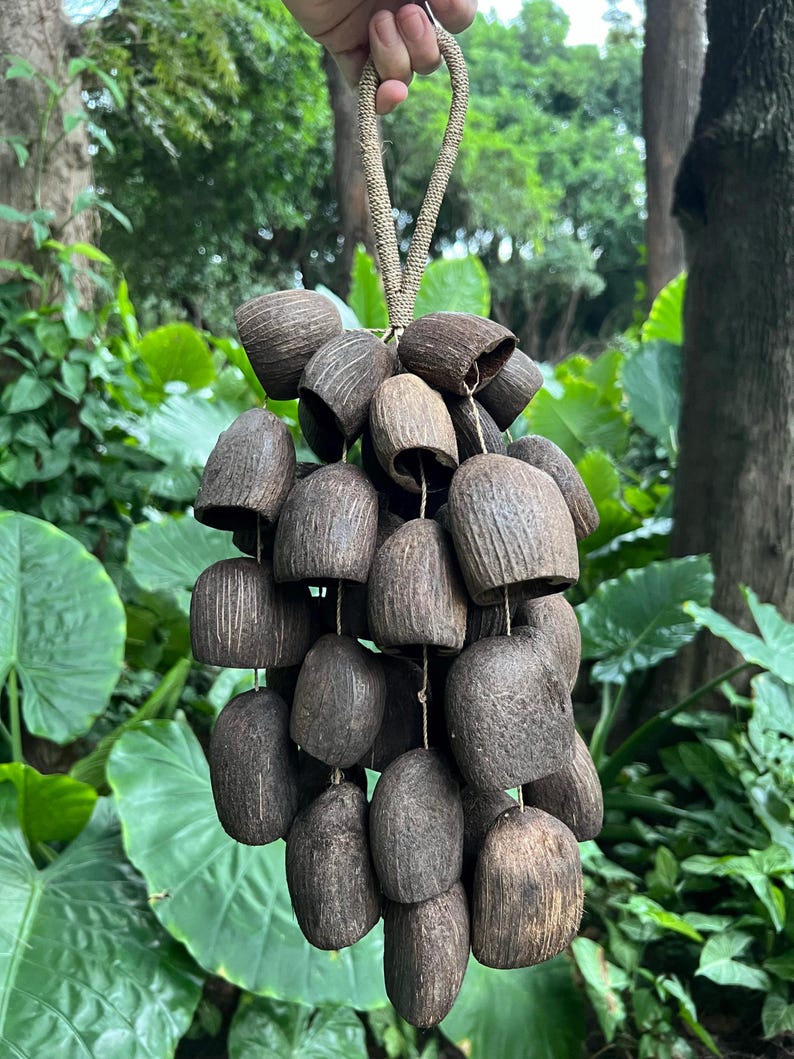 Salin,fruit Shell Bell,natural Handmade Rattles,sound Healing ...
