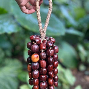 May include: A handmade, beaded bag featuring a cluster of dark brown, round beads. The beads are strung together, forming a rectangular shape with a woven handle. The bag is held up against a backdrop of green foliage.