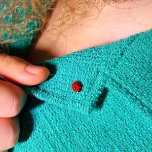 Handmade Realistic Polymer Clay Ladybug Pins