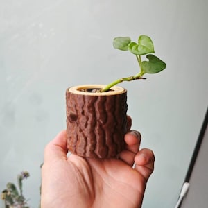 Log Planter