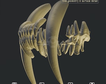 Smilodon gracilis teeth - High-Resolution STL for 3D Printing