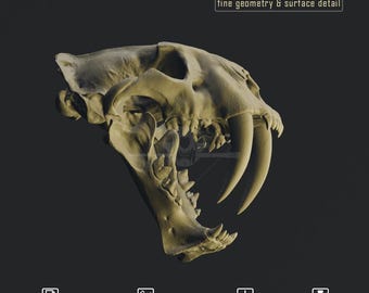 Cráneo de tigre dientes de sable Smilodon gracilis - Archivo STL de alta resolución para impresión 3D