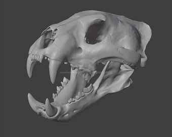Talara Jaguar Skull 3D Modell - LOW POLY STL für den 3D-Druck