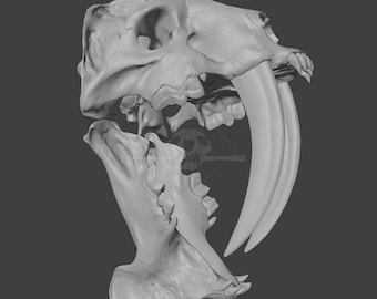 Cráneo de gato dientes de sable falso Barbourofelis fricki, modelo 3D - STL de baja poligonización para impresión 3D