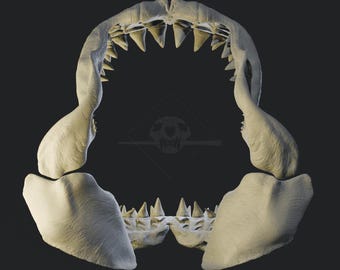 il_340x270.7053950049_jmxd.jpg