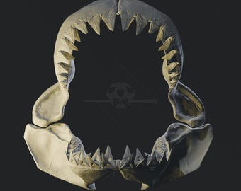 Great White Shark Jaw 3D Model (Carcharodon carcharias) - Museum Quality High-Resolution PLY for 3D Printing